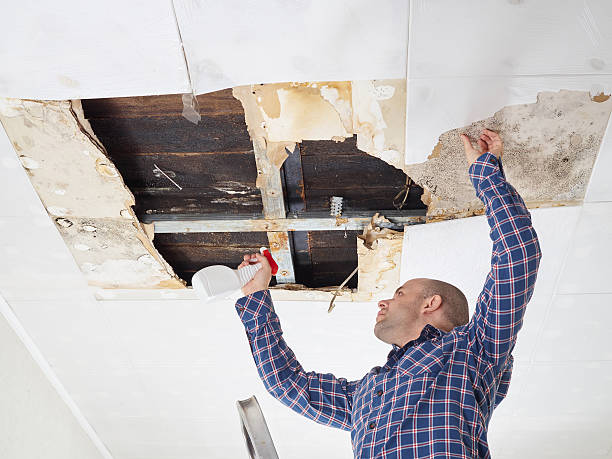 Best Mold Prevention Services  in Montgomery, GA